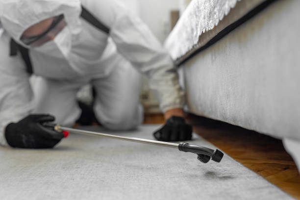 Professional Cockroach Control technician working in LaCoste, TX